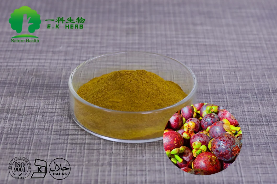 E. K Herb Factory Supply Best Price Mangosteen Fruit Extract Xanthone 90% Powder